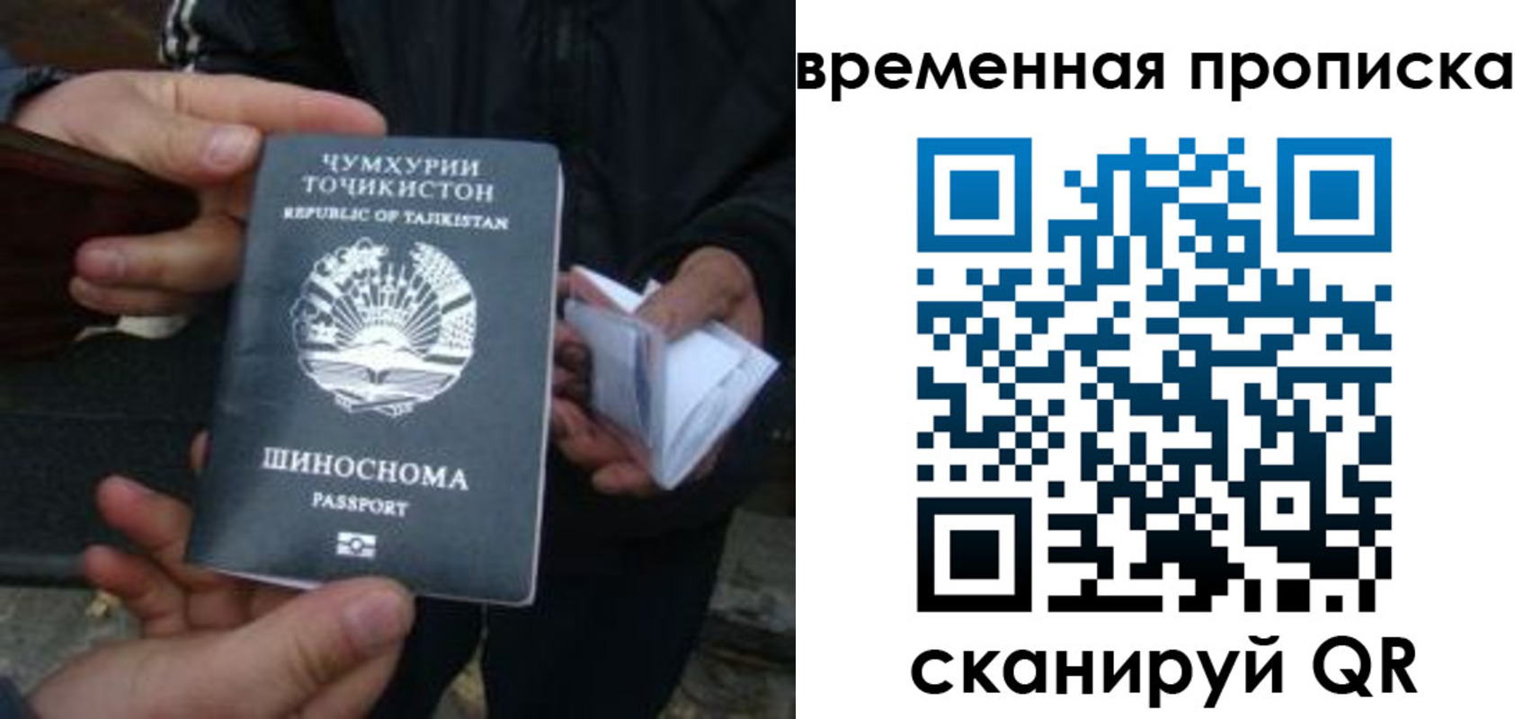 прописка законно в Черноголовке